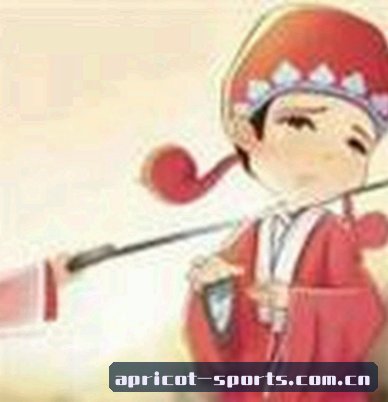 赵少