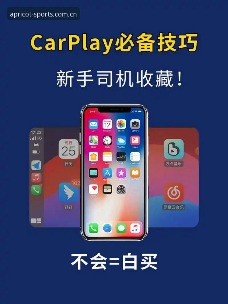 杏运体育最新版下载全攻略——新手必备的安装与使用指南